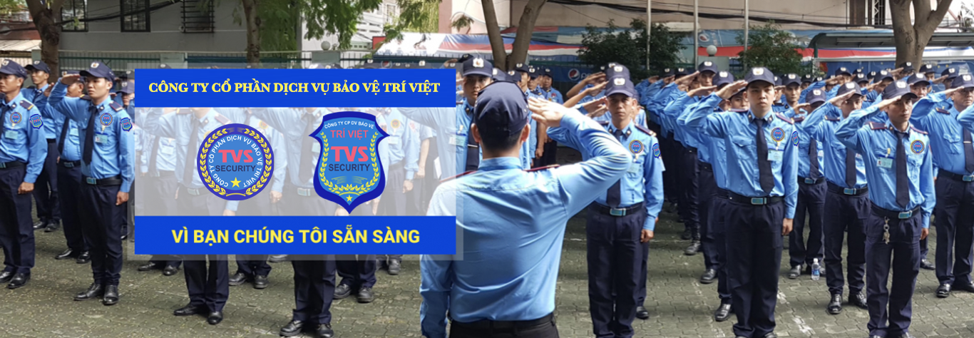 Hoạt động công ty cổ phần dịch vụ bảo vệ trí việt (TVS)